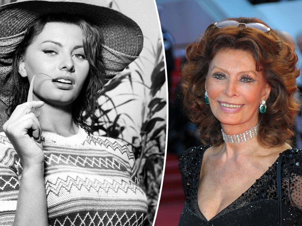 Sophia Loren ontvangt prijs Nederlands filmfestival | Celebrities | hln.be