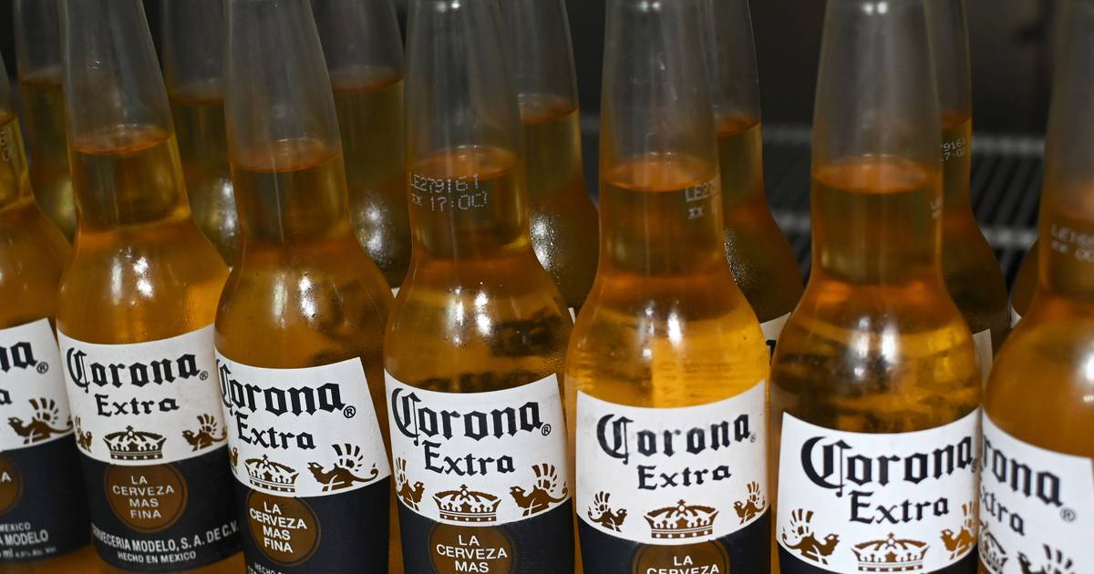 Corona-bier niet langer in Mexico gebrouwen, wel in België | Binnenland |
