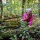 Paddestoelen helpen om rouw te verzachten
