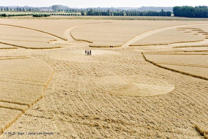 De drie mannen die al het voorbereidend werk voor de graancirkel hebben gedaan in het hart van de vlinder. V.l.n.r. Remko Delfgaauw, Manfred Koeleman en Toine Bijsterveld.