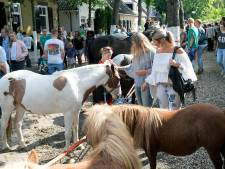 Tropische hitte dwingt paardenmarkt Alblasserdam tot maatregelen