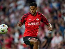 Makelaarskantoor van Cody Gakpo flirtte zonder medeweten van PSV met Ajax