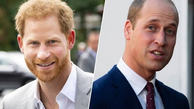 Bezoekt prins William zijn broer Harry tijdens Amerikaanse reis? “Dat is zeer onwaarschijnlijk”
