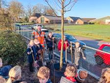 Groene vingers voor leerlingen van basisscholen in Putten: ‘Ze vonden het geweldig om te helpen’