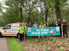 Meeste botsingen met wild in Land van Cuijk: spandoeken en spiegels moeten mens en dier waarschuwen