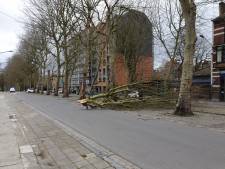 La tempête Ciara met les pompiers de Charleroi à l’épreuve: “Plus vu ça depuis 10 ou 15 ans”