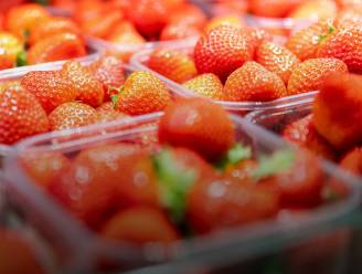 Dit zijn de verschillen tussen Spaanse en Belgische aardbeien (en het is niet alleen de prijs)