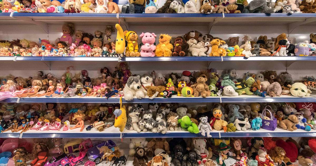 Jochie (14) die speelgoedwinkel berooft lachspieren eigenaar | Brabant | gelderlander.nl