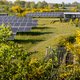 Energieboswachters gaan de natuur meer kans geven in zonne- en windparken