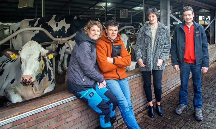 Carolien en Joep den Brok en Mary en Sybrand Zijlstra willen helemaal niet weg met hun melkveebedrijven.