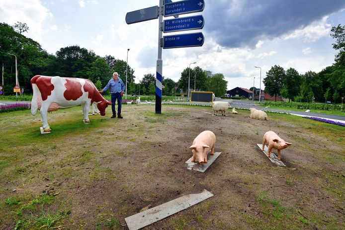 Marcel Sommers staat op de rotonde na de eerste diefstal half juni toen een lammetje en varken gestolen werden.