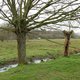 Minister Demir erkent 682,5 hectare extra als natuurreservaat