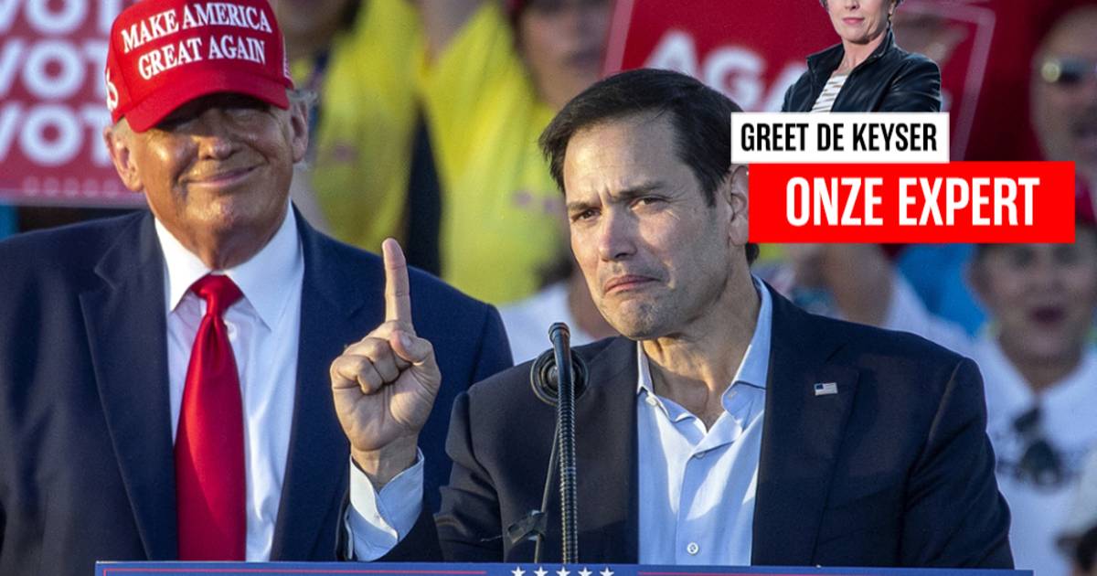 ANALYSE. Onze Amerikacorrespondent Greet De Keyser over tussentijdse verkiezingen “Trump is