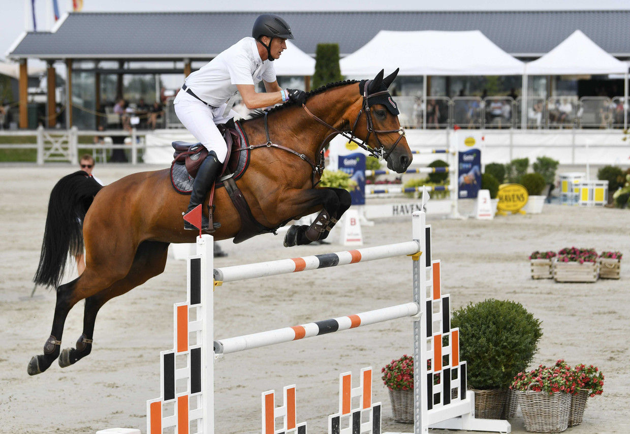 Marc Houtzager is Nederlands kampioen met Sterrehof's Dante.  Beeld ANP