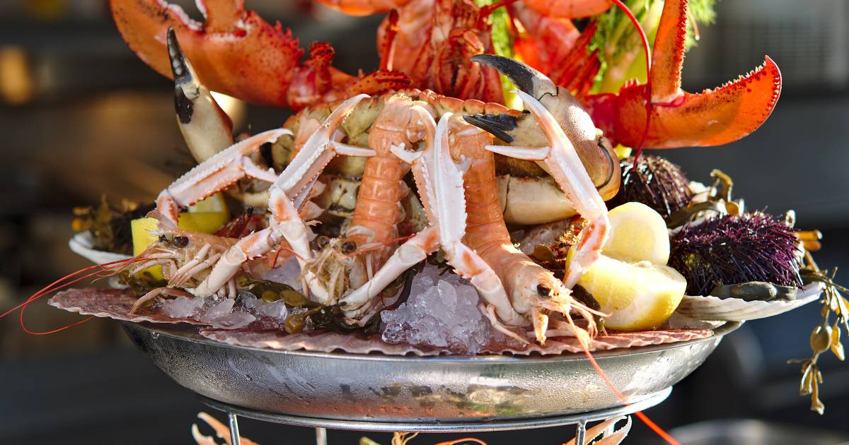 La “Brasserie du Lac” des fruits de mer avec vue aux portes de
