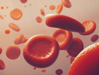 Voor het eerst transfusie uitgevoerd met rode bloedcellen die in lab gekweekt werden
