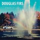 Douglas Firs - Hinges of Luck