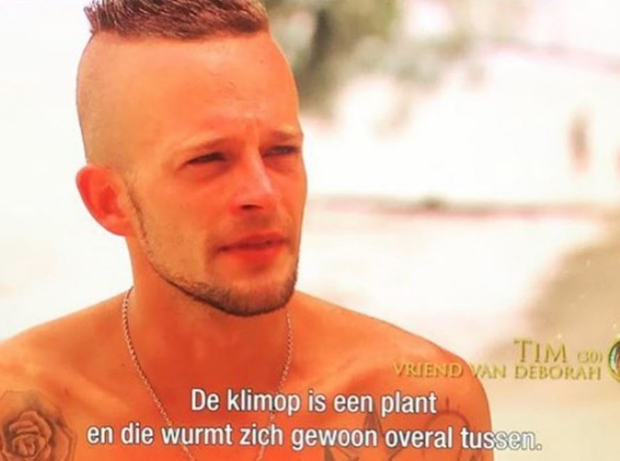 null Beeld Instagram / @temptation_island_poëzie