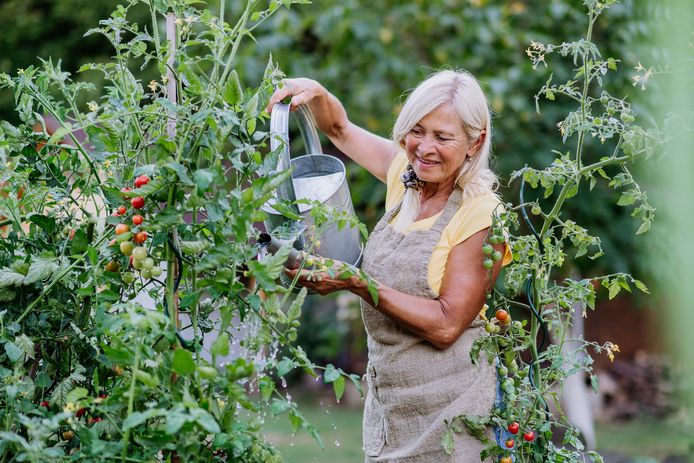 Ans (niet de vrouw op de foto ter illustratie) wil eigen gekweekte tomaten gaan eten en zoekt stenen potten.