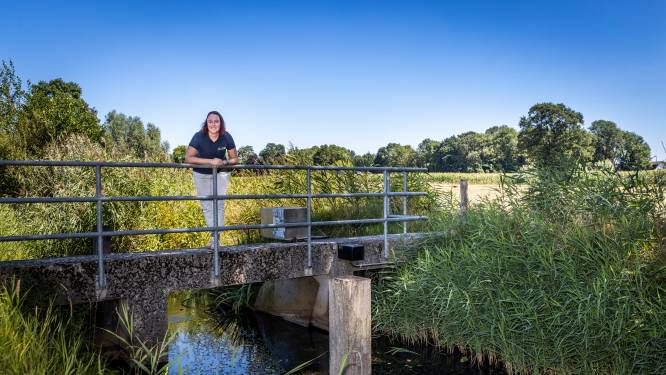 Veel minder water door de Maas vanwege de droogte, water aftappen in Zuidoost-Brabant mogelijk aan banden