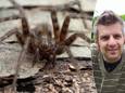 Wim Veraghtert, expert in ongewervelde dieren bij Natuurpunt, vertelt hoe je  spinnen uit je buurt kunt houden.
