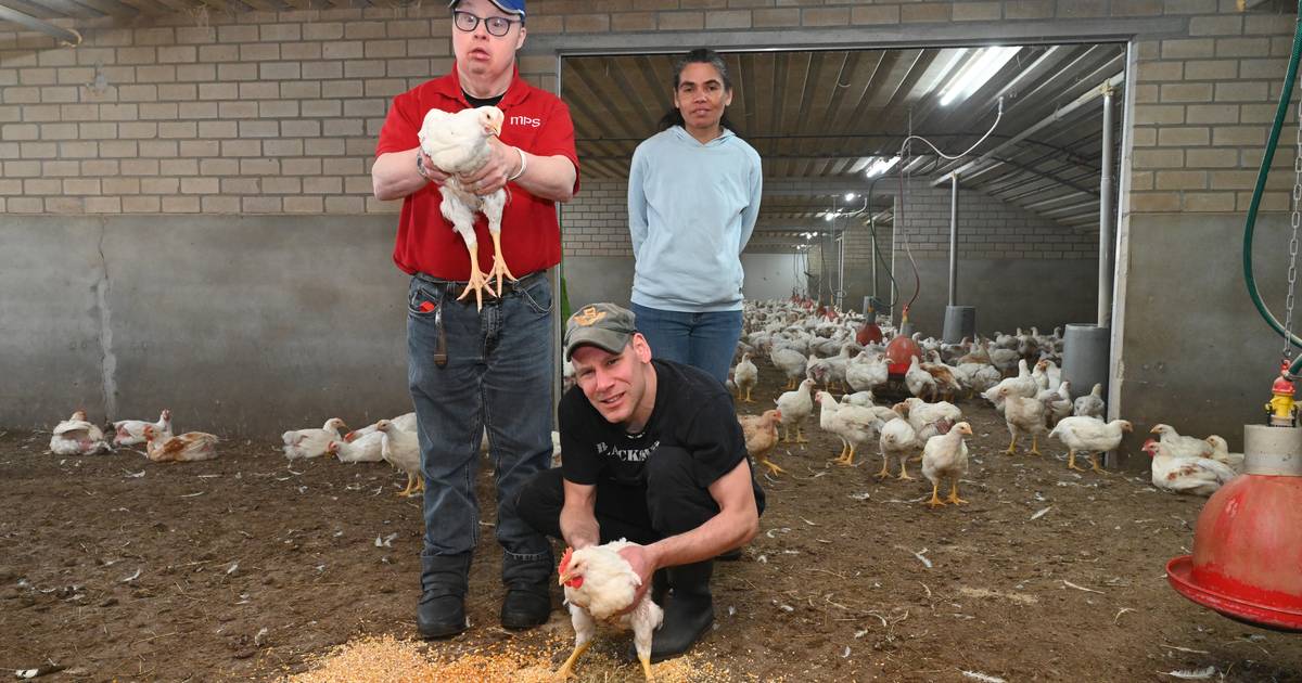 Dagbesteding in Rijkevoort kan op oude voet door: 2800 biologische kippen mogen blijven