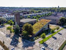 Waarom deze enorme kastanjeboom (70 jaar) in Alphen voor de tweede keer wordt verplaatst