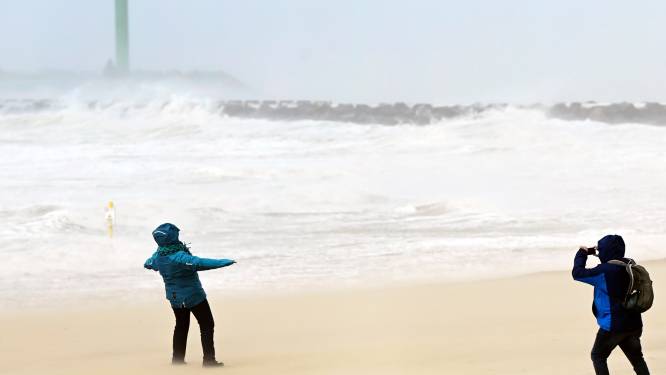 Hoe opmerkelijk waren de hevige stormen van deze winter? Het KMI geeft antwoord