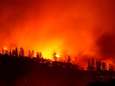 Bosbranden in Californië zijn dodelijkste in 85 jaar tijd