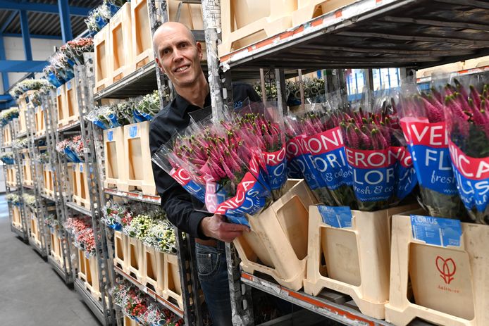 Walter Arts bij het Cuijkse bedrijf Florius Flowers