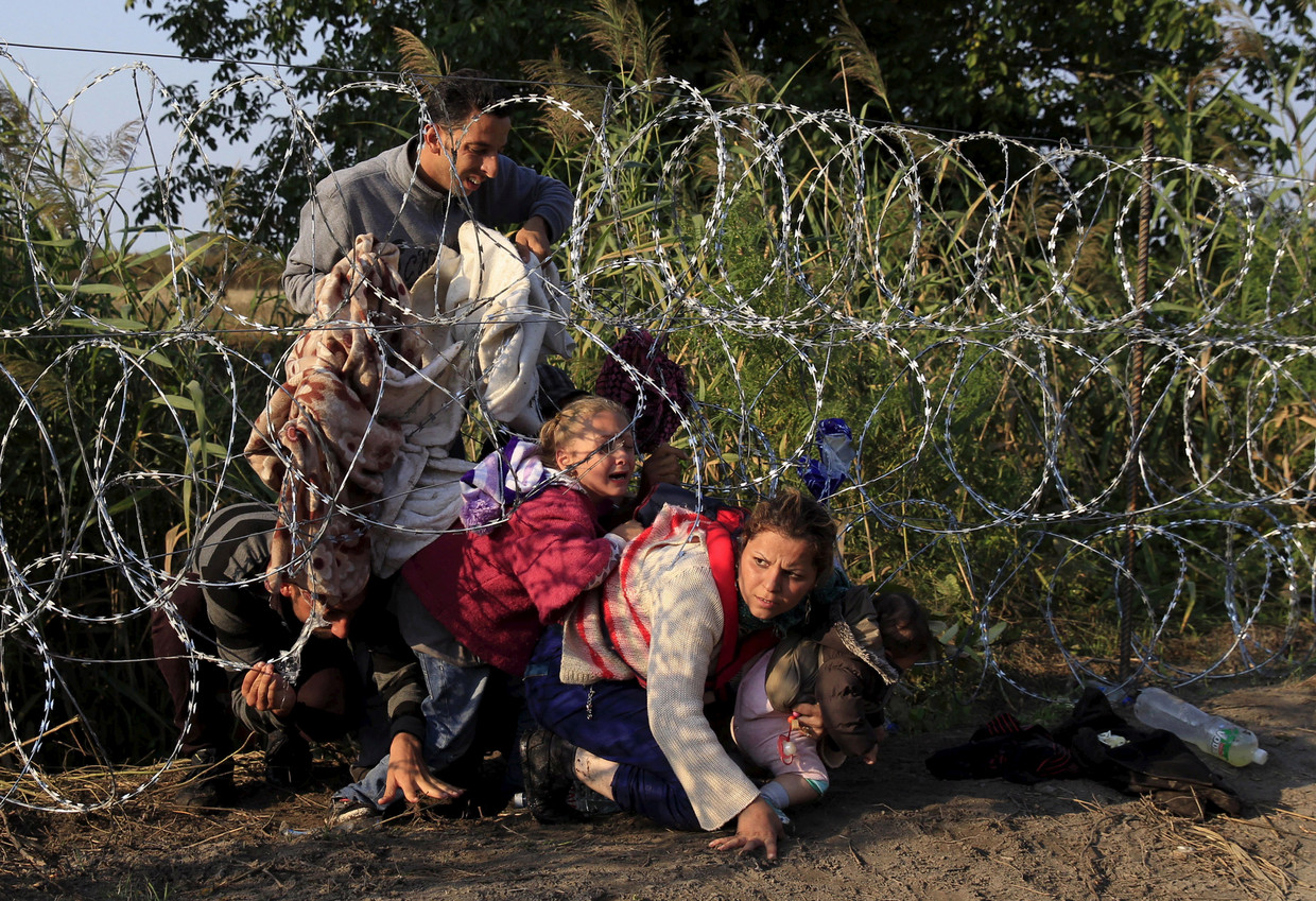 Vorig jaar augustus kropen vele Syrische vluchtelingen onder een tijdelijk hek van prikkeldraad door op de Hongaars-Servische grens. Beeld REUTERS