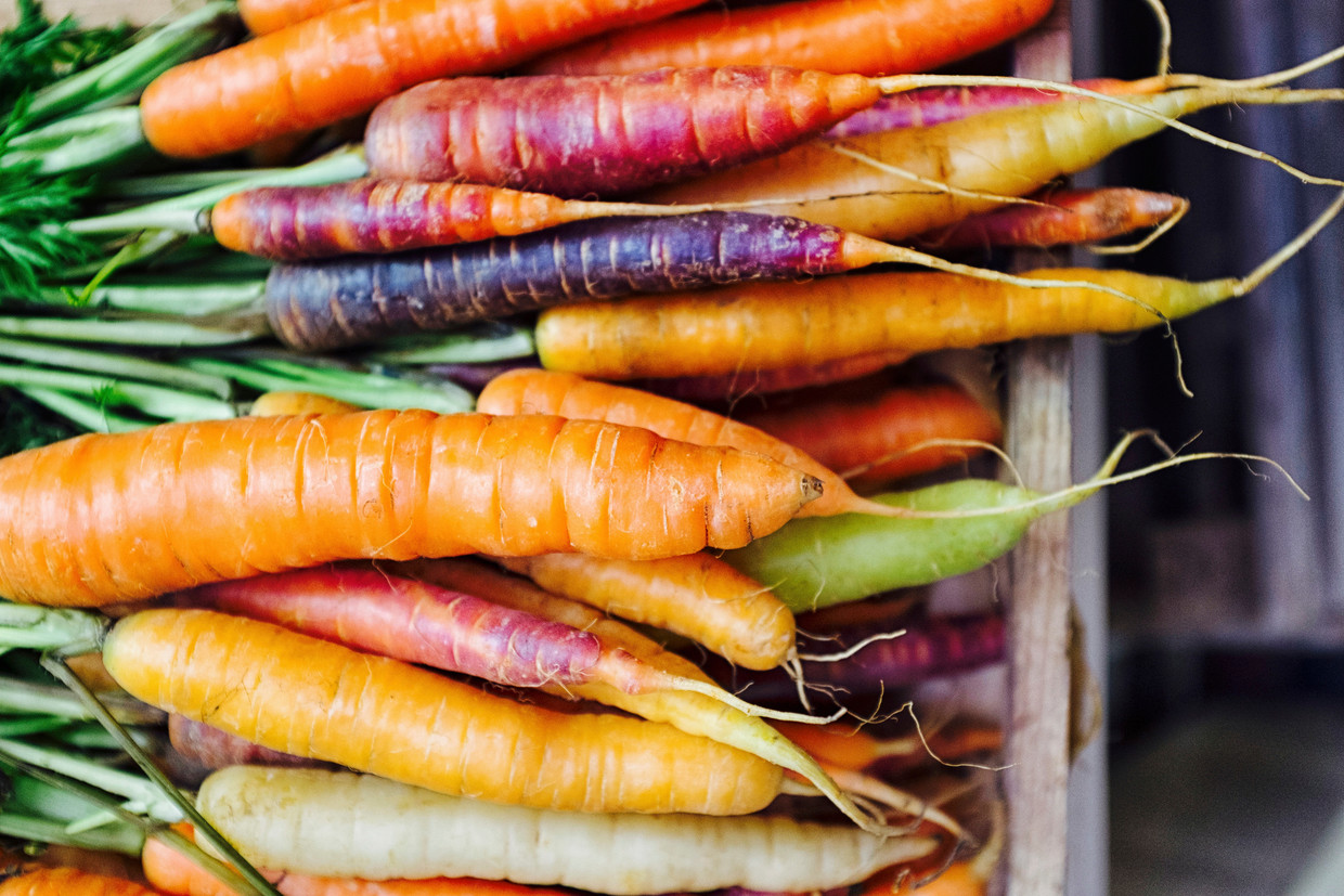 Fresh picked rainbow carrots including different coloured carrots. Colourful carrot varieties that are fashionable now. Beeld Thinkstock