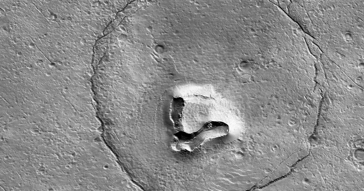“Un orso su Marte?  La NASA condivide una foto intrigante del pianeta rosso |  Scienza