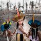 ‘Stukken Amazone-regenwoud illegaal te koop op Facebook’