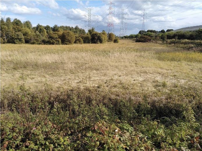 Op de zone in de Gentse haven, die bestaat uit grasland en bos, moeten zo'n 4.500 identieke zonnepanelen komen.