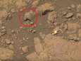 Deze man heeft 'bewijs' voor buitenaards leven op Mars gevonden