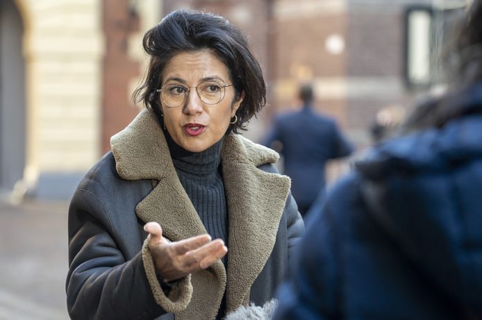 Gunay Uslu, staatssecretaris Cultuur en Media .