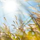 Volop lenteweer op komst: deze week wordt het 15+ graden