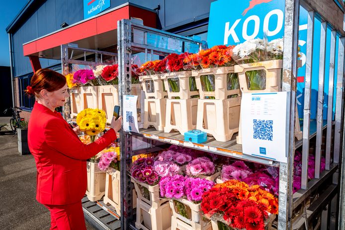 welvaart indruk koel Kwekers verkopen hun bloemen en planten aan de weg: 'Geef geen hand, maar  een chrysant' | Rotterdam | AD.nl
