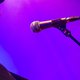 Phosphorescent (Botanique)