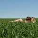 Dit zijn 5 spannende seksstandjes om de lente mee in te luiden