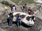 Des enfants américains découvrent un fossile de jeune tyrannosaure