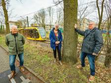 Bewoners tegen kap ‘gevaarlijke bomen’: ‘Tram heeft al die jaren nog nooit door een tak stilgestaan’