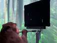 Onwaarschijnlijke beelden tonen hoe aapje computerspel speelt met zijn hersenen, dankzij een chip van Elon Musk