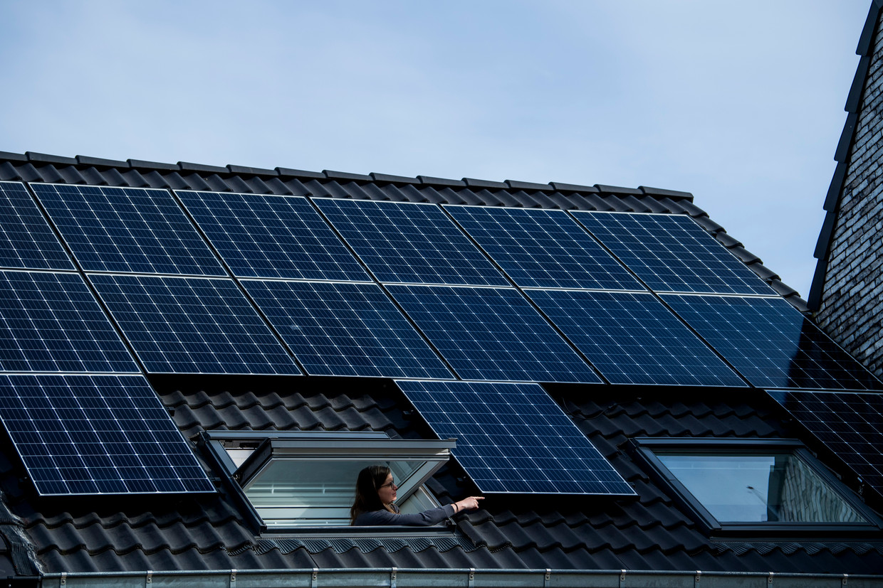 tuin verbinding verbroken muis of rat Zonnedelen: vanaf volgend jaar kunt u stroom van zonnepanelen verkopen of  weggeven | De Morgen