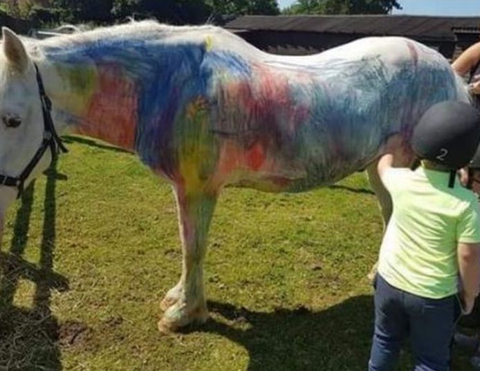 Pony's en paarden worden op 'pony painting parties' gebruikt als 'schilderezel' voor kinderen.