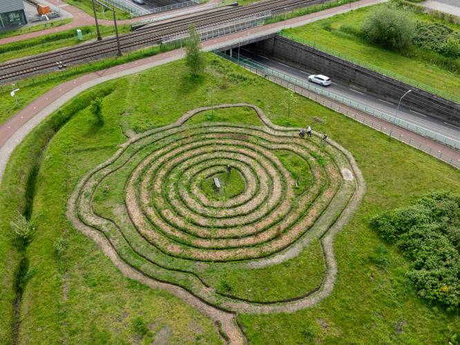 Dit bosje in Harderwijk krijgt een bijzondere vorm en dit is waarom: ‘Ik heb iets met een spiraal’