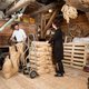 Experimenteren en illegale handel: eeuwenoude jenever in Weesp
