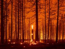 Branden in Californië laaien op door hitte, droogte en sterke wind