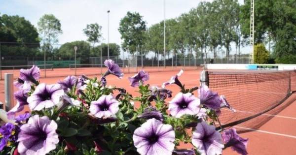 Lawn Tennisclub Altena viert gouden jubileum: 'Gekleurde tennissokken, dat kon echt niet' - BD.nl